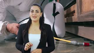 Synergy İlaçlama Tanıtım